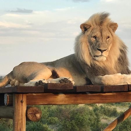 Weltevreden Game Lodge Bloemfontein Bagian luar foto