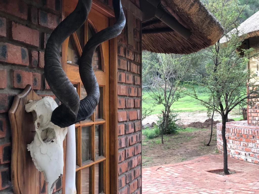 Weltevreden Game Lodge Bloemfontein Bagian luar foto