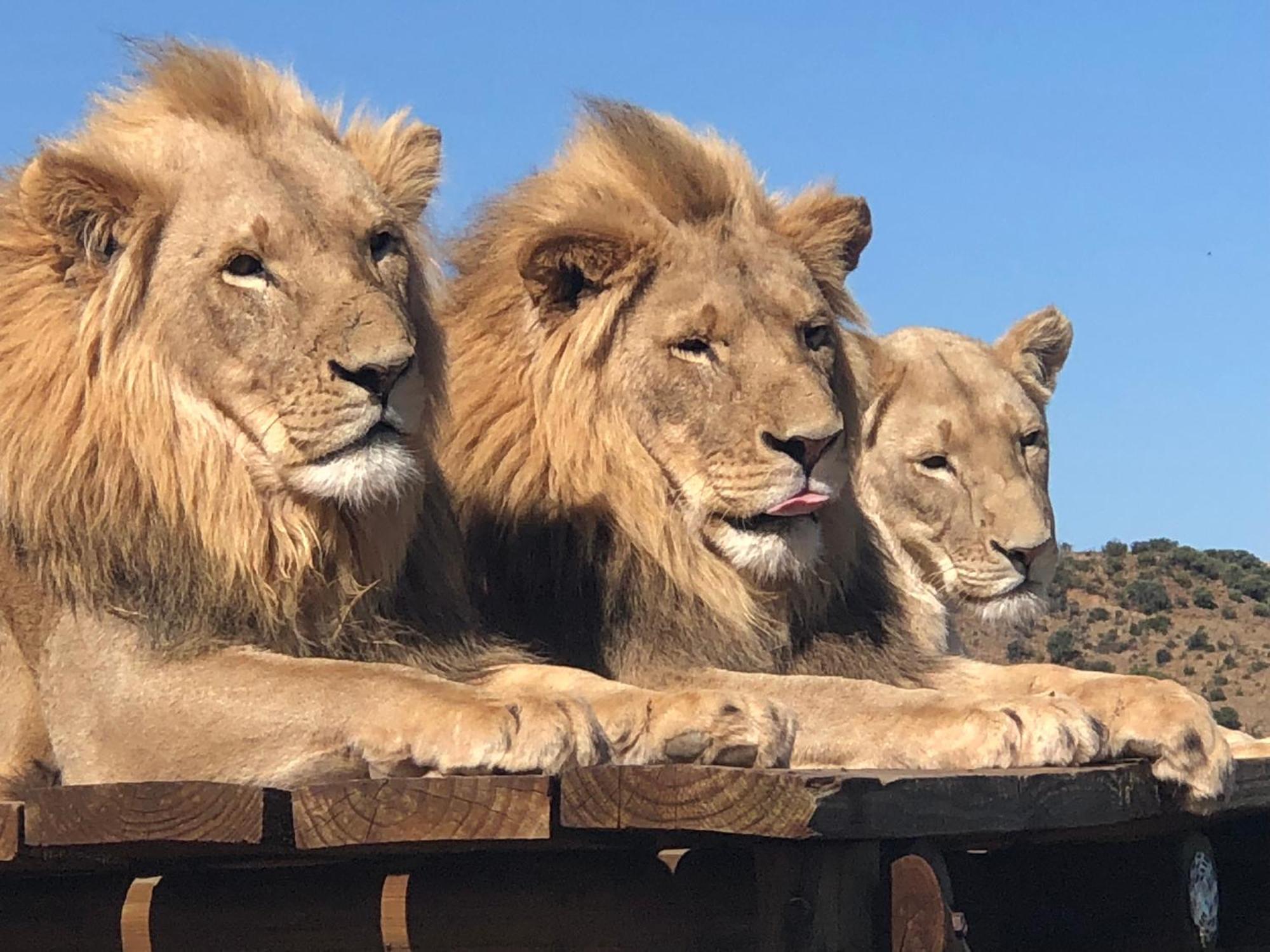 Weltevreden Game Lodge Bloemfontein Bagian luar foto